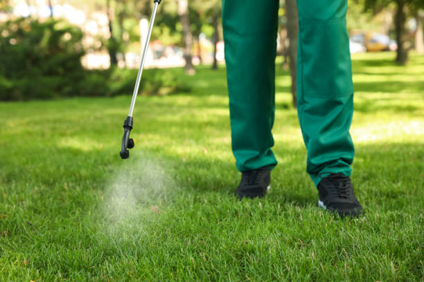Best Flea Control Services  in Keno, OR