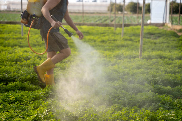 Best Pest Inspection Near Me  in Keno, OR