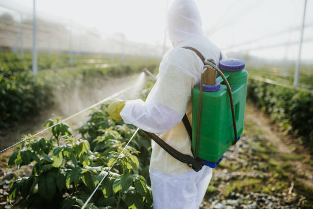 Flea Control Services in Keno, OR